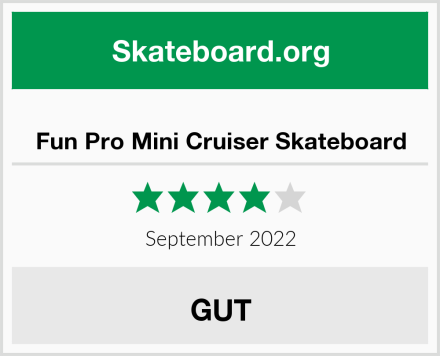  Fun Pro Mini Cruiser Skateboard Test